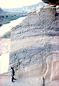 The deep deposits at Arenosa Shelter alternated between dark, gray cultural deposits and lighter, tan flood deposits. Photo from ANRA-NPS Archives at TARL.