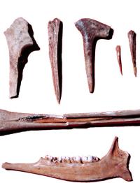 Tools fashioned from animal bones. The one on the left is a bison scapula (shoulder bone) apparently used as a digging tool. The pointed bones and antlers were used for stone-tool making, basket weaving, and sewing. The deer mandible (jaw) at the bottom is polished from contact with plants - perhaps it was used to strip seeds from grasses. From the ANRA-NPS collections at TARL.