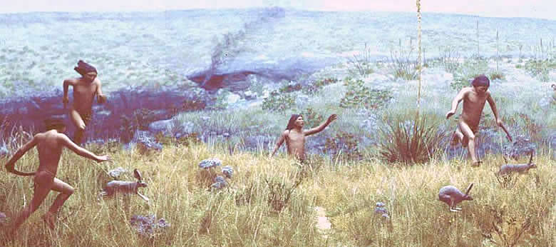 Diorama and mural showing a rabbit hunt in progress in the Lower Pecos. In the background, smoke rises out of a large rockshelter in the canyon below. Studies have shown that rabbits were one of the most important animals in the diet. Courtesy Texas Parks and Wildlife Department.