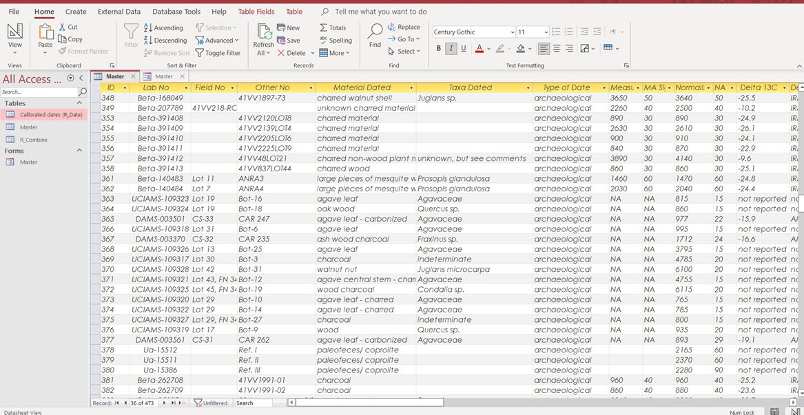 a screenshot of a Microsoft Access database