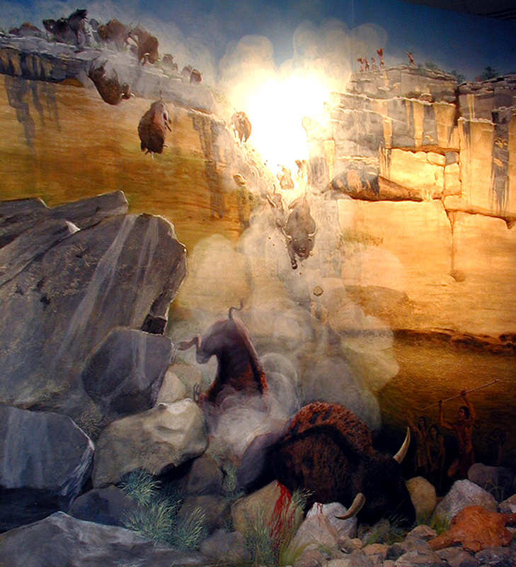 painting showing bison tumbling from a cliff and landing on rocks in a canyon bottom