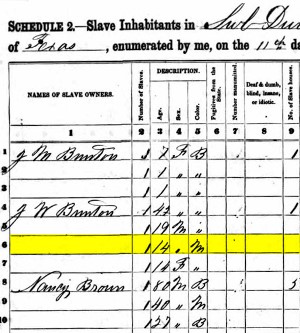 Image of the 1860 slave census for Hays County li\