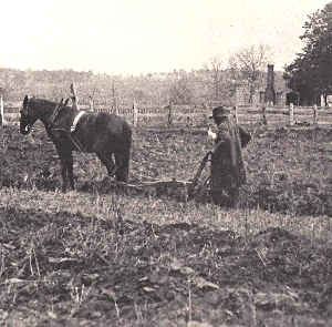 Photo of an African American farmer plowing a field in 19th-century Texas