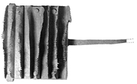 A U.S. Army model 1874 curry comb found during survey of the sites. Photo courtesy of the Texas Historical Commission.