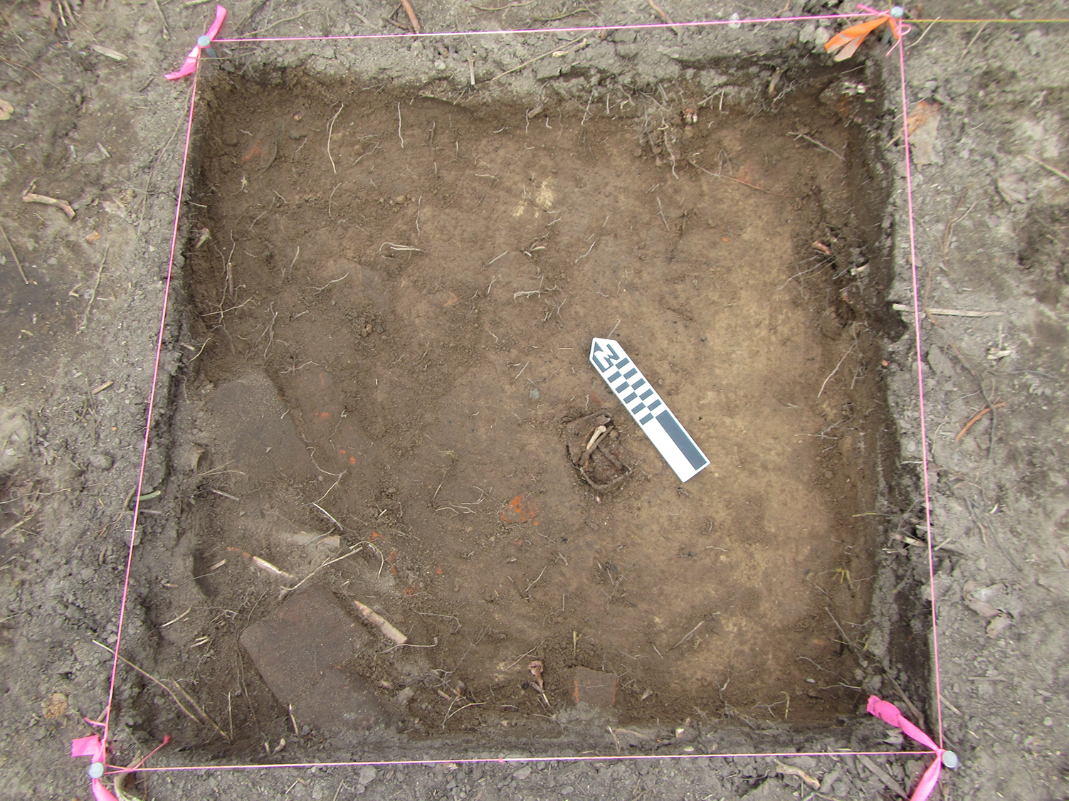 A color photograph of a 1 meter excavation unit with a metal can containing a bone within it, with a black and white north arrow scale bar next to it.