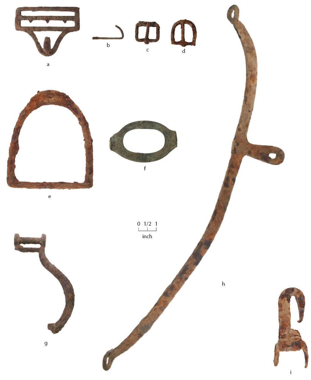 Rusted metal pieces of horse tack on a white backgrougnd with a scale bar.