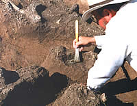 Archeologist Elton Prewitt uncovering the sundial.