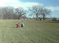 The alfalfa field where the mission was once located, fall 1993. Pink flags mark metal artifacts found with metal detectors. About a quarter of the metal artifacts were from the eighteenth century, things like musket balls, wrought iron nails, and brass objects. Most of the metal was modern: barbed wire staples, ring pulls, bottle caps, farm machinery parts, and ear tags from Judge Lyckman's goats, labeled "O. Lyckman."