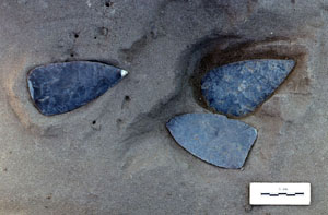 photo of chipped stone bifaces
