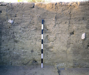 photo of the excavation wall