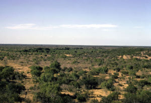 landscape photo