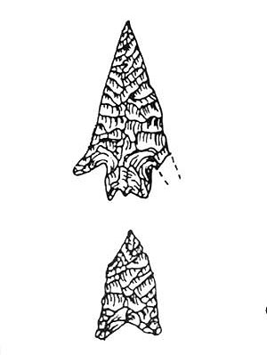 drawing of cuney and guerrero points