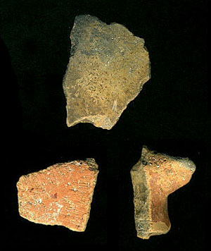 photograph of pottery sherds