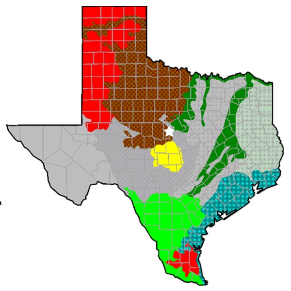 eco regions of texas cover image