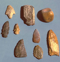 Late Archaic dart points and stone tools