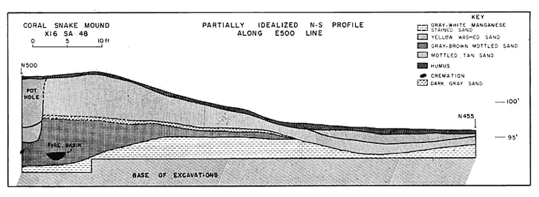 Schematic profile through Coral Snake Mound
