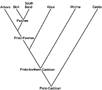 diagram of various Caddoan languages