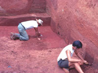 archeologists at the Davis site