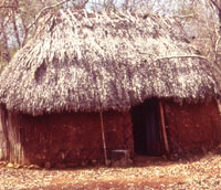 Yucatac hut