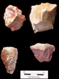 Tecovas Chert and Quartzite