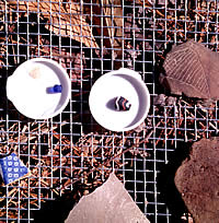 various artifacts