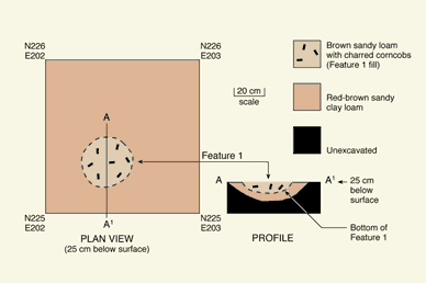 diagram of excavation unit