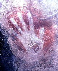 photo of a painted handprint