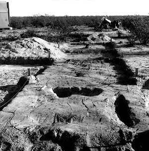 photo of open excavation units