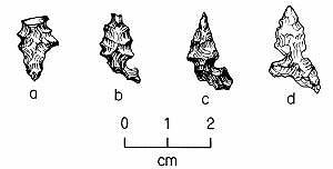 illustration of arrowpoints found at the site