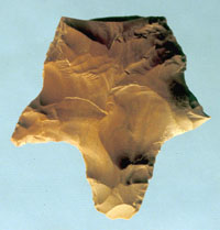 photo of a contracting stem dart point, the only projectile point found at the Paradise site