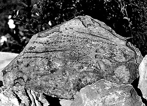 photo of a fragment of a rock carving
