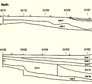 Stratigraphic profile