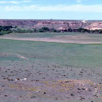 photo of Wolf Creek Valley