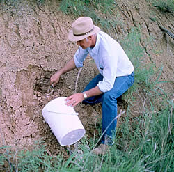 collecting clay