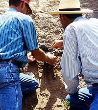 photo of archeologists Boyd and Wilson