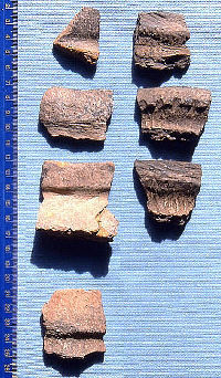 Photo of earthenware pottery sherds with thickened rims.