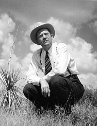 Posed photo of man in long-sleaved shirt and tie squating in an overgrown field and looking a the camera.