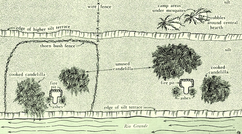 Plan map of wax camps 