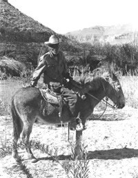 photo of a cerero and his burro