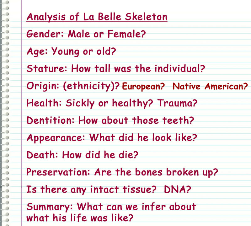 Analysis of La Belle Skeleton
 Gender: Male or Female?
 Age: Young or old?
 Stature: How tall was the individual?
 Origin: (ethnicity)?
 Health: Sickly or healthy? Trauma?
 Dentition: How about those teeth?
 Appearance: What did he look like?
 Death: How did he die?
 Preservation: Are the bones broken up?
 Is there any intact tissue?  DNA?
 Summary: What can we infer about
      what his life was like?
 