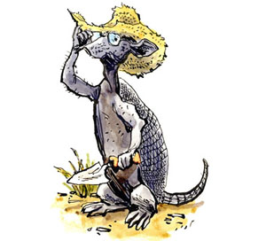 illustration of anthropomorphic armadillo wearing hat and glasses
