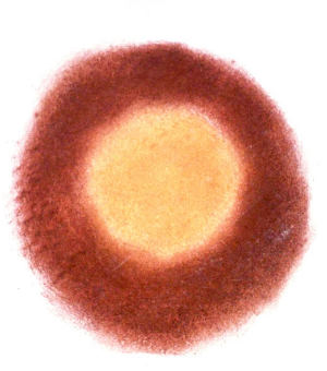 A concentric pattern of powdered yellow ochre surrounded by red ochre powder