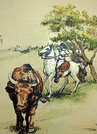 illustration of a vaquero, or cowboy