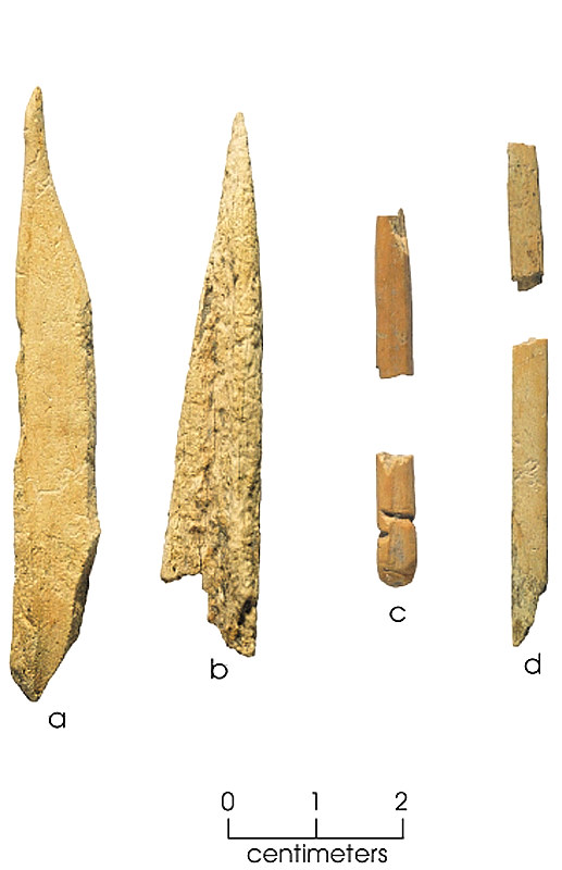 Photo of bone tools