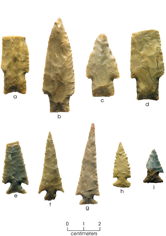 Photo of Darl dart points and Scallorn arrow points