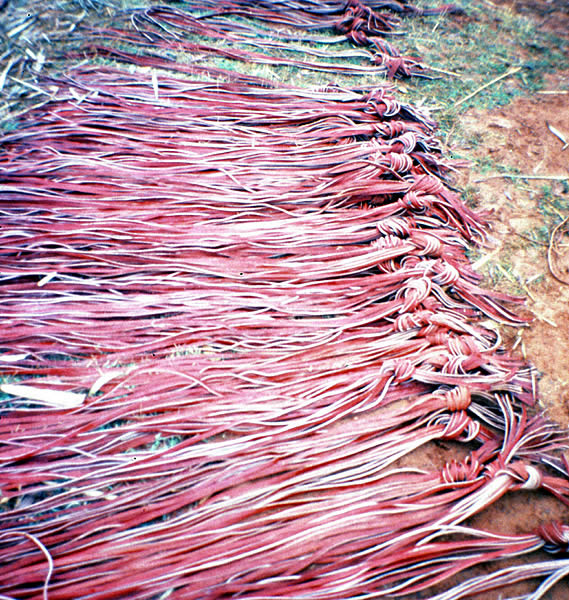 photograph of dozens and dozens of long strips lying on the grass