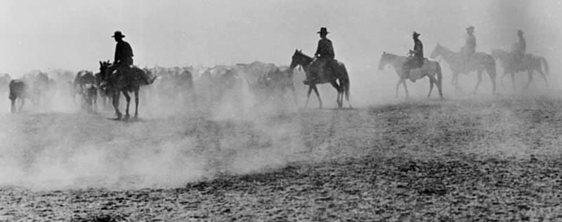 photo of cowboys herding in a dust storm