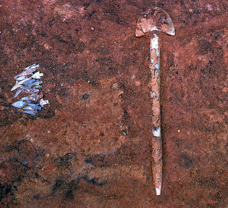 photograph of over a dozen projectile points in place, excavated in one small area, with a shovel next to it