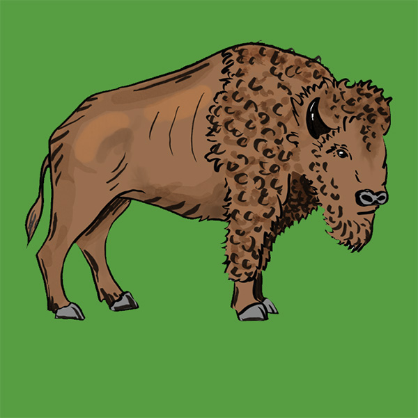 How Many Ways Can You Use a Buffalo?