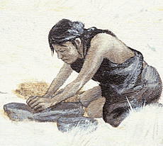 drawing of mano and metate in use
